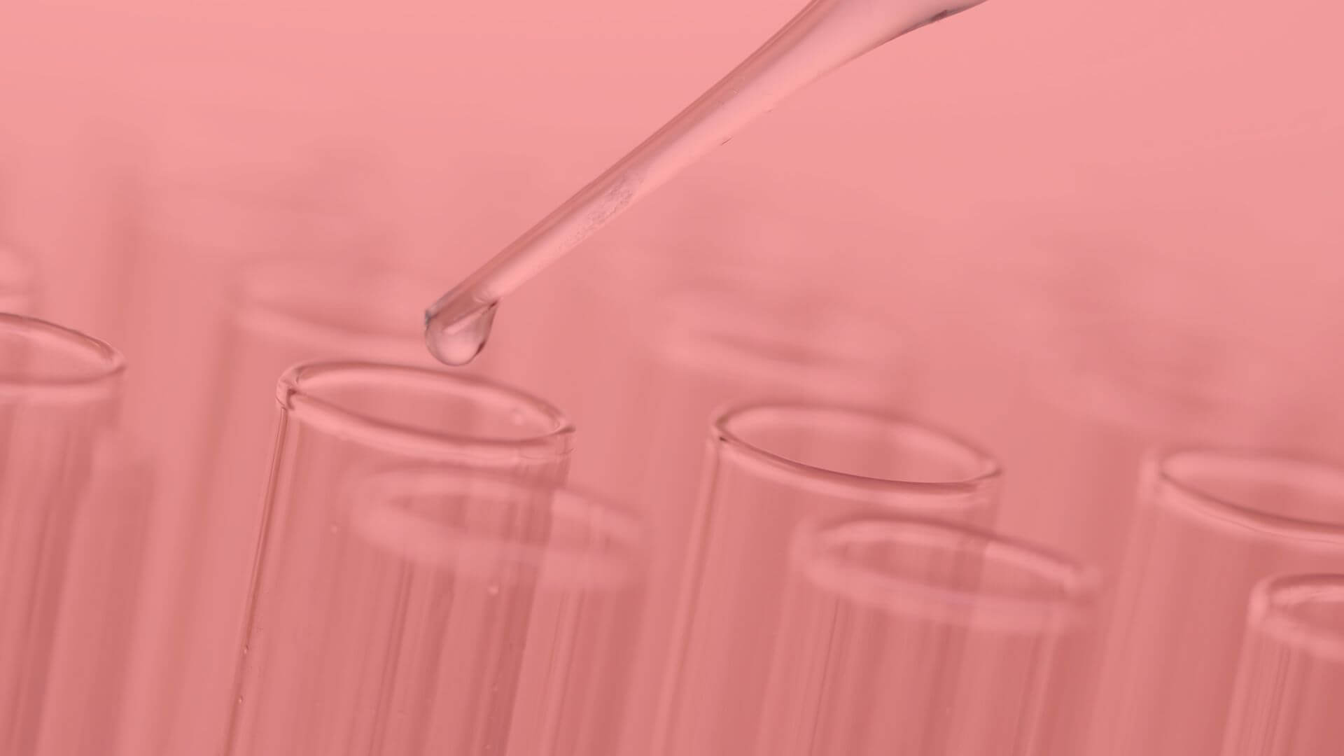 Ryght’s Journey to Empower Healthcare and Life Sciences with Expert Support from Hugging Face